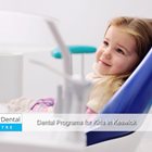 Dental Programs for Kids in Keswick dentalprogramsforkidskeswick